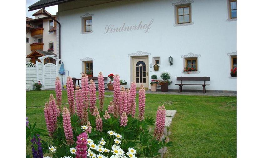 Lindnerhof Urlaub Am Bauernhof Hotel Sankt Lorenzen Buitenkant foto